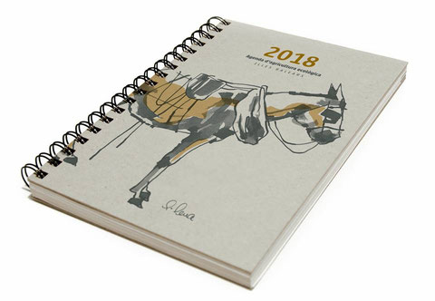 Agenda APAEMA