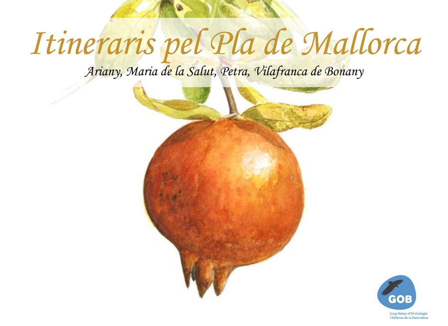 itineraris-pla-de-mallorca